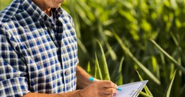 étude implantation piscine